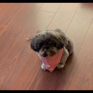 Meet your Posher, Stacey